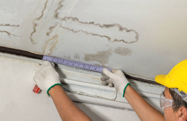 Reliable Flood Cleanup contractor in Columbus, MN by Water Damage Irwin